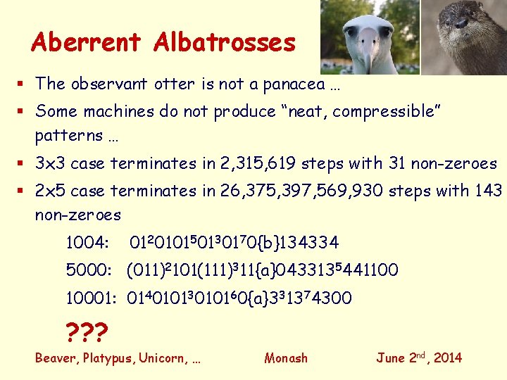 Aberrent Albatrosses The observant otter is not a panacea … Some machines do not