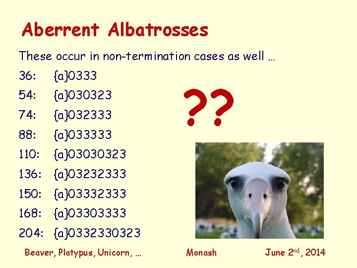 Aberrent Albatrosses These occur in non-termination cases as well … 36: {a}0333 54: {a}030323