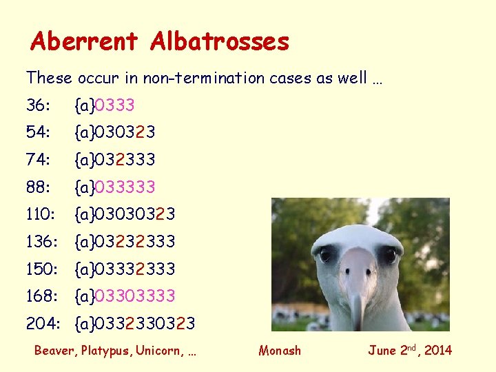 Aberrent Albatrosses These occur in non-termination cases as well … 36: {a}0333 54: {a}030323