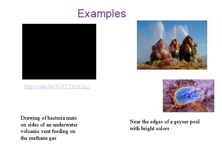 Examples http: youtu. be/N-EYTtxs. L 8 g// Drawing of bacteria mats on sides of