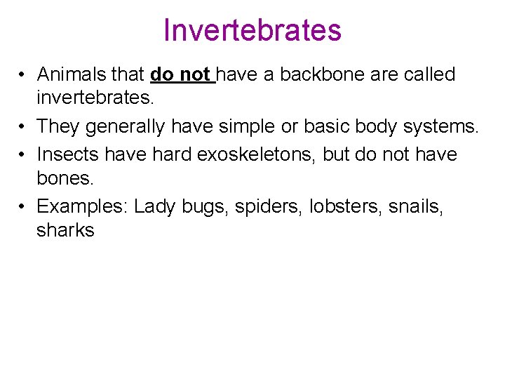 Invertebrates • Animals that do not have a backbone are called invertebrates. • They