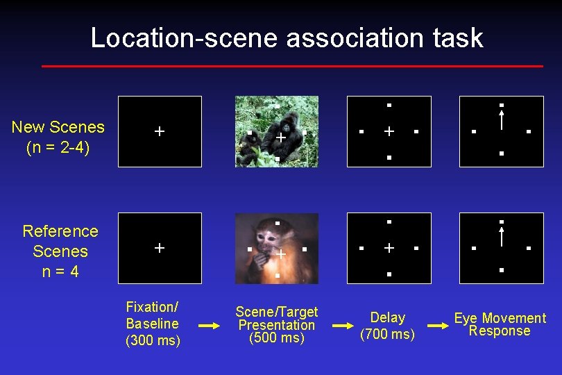 Location-scene association task New Scenes (n = 2 -4) + + + Reference Scenes