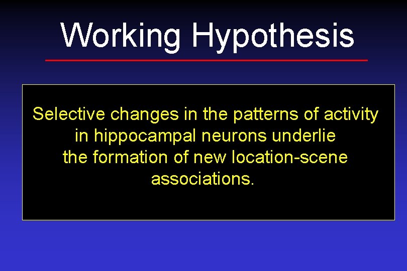 Working Hypothesis Selective changes in the patterns of activity in hippocampal neurons underlie the