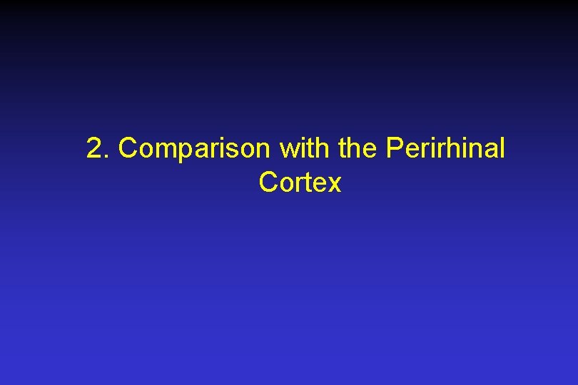 2. Comparison with the Perirhinal Cortex 