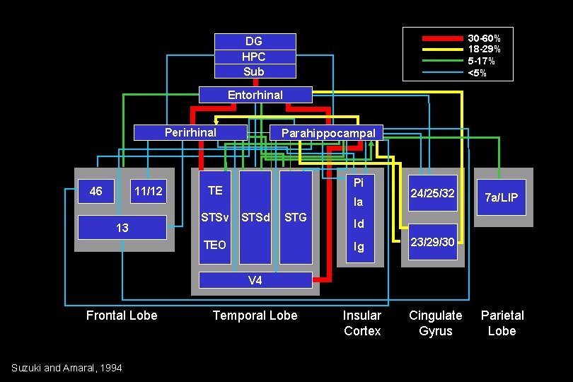30 -60% 18 -29% 5 -17% <5% DG HPC Sub Entorhinal Perirhinal 46 11/12