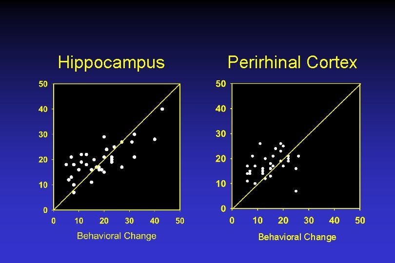 Hippocampus Perirhinal Cortex Behavioral Change 