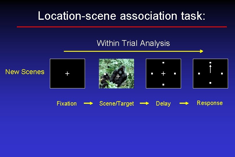 Location-scene association task: Within Trial Analysis New Scenes + + + Fixation Scene/Target Delay