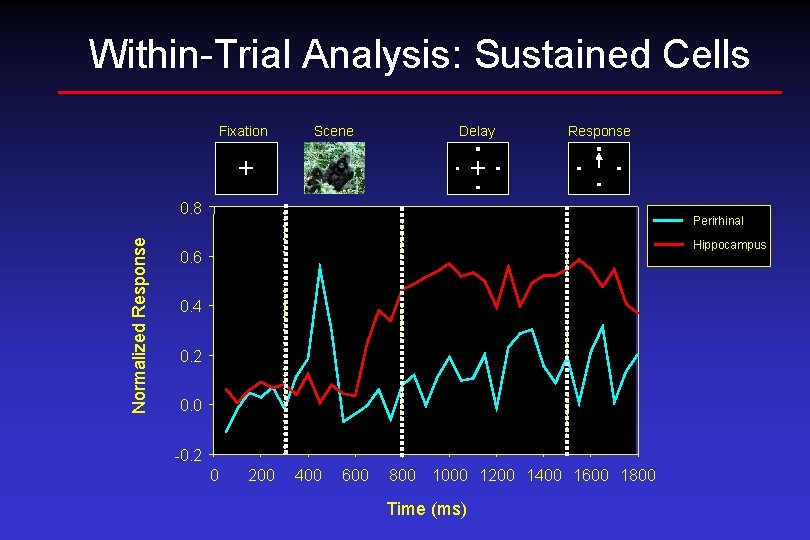 Within-Trial Analysis: Sustained Cells Fixation Scene Delay + Response + Normalized Response 0. 8