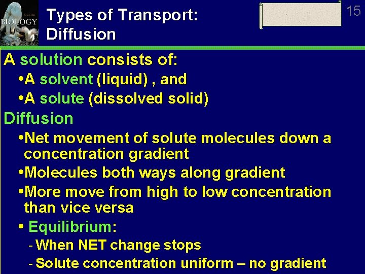 Types of Transport: Diffusion A solution consists of: A solvent (liquid) , and A