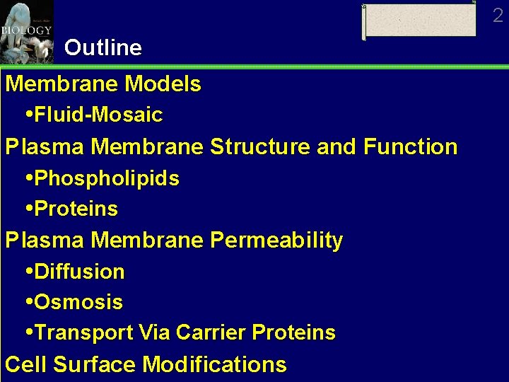 2 Outline Membrane Models Fluid-Mosaic Plasma Membrane Structure and Function Phospholipids Proteins Plasma Membrane