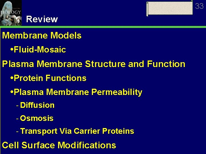 33 Review Membrane Models Fluid-Mosaic Plasma Membrane Structure and Function Protein Functions Plasma Membrane