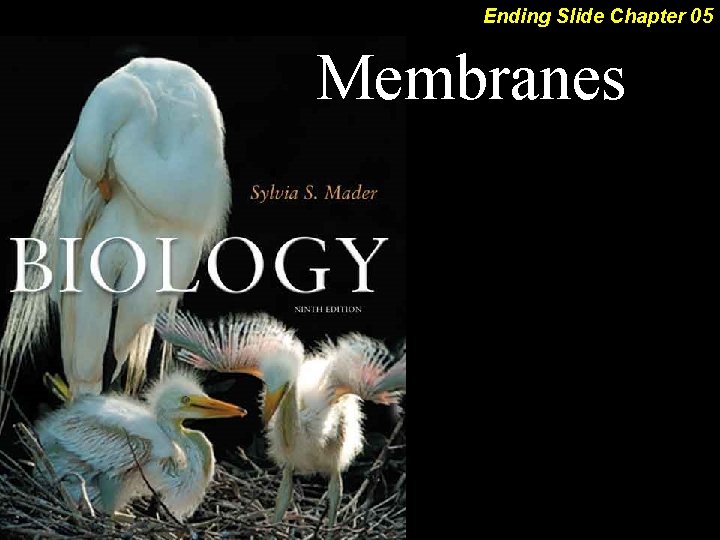 Ending Slide Chapter 05 Membranes 