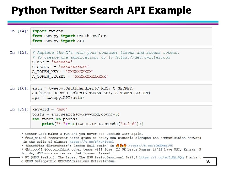 Python Twitter Search API Example 30 