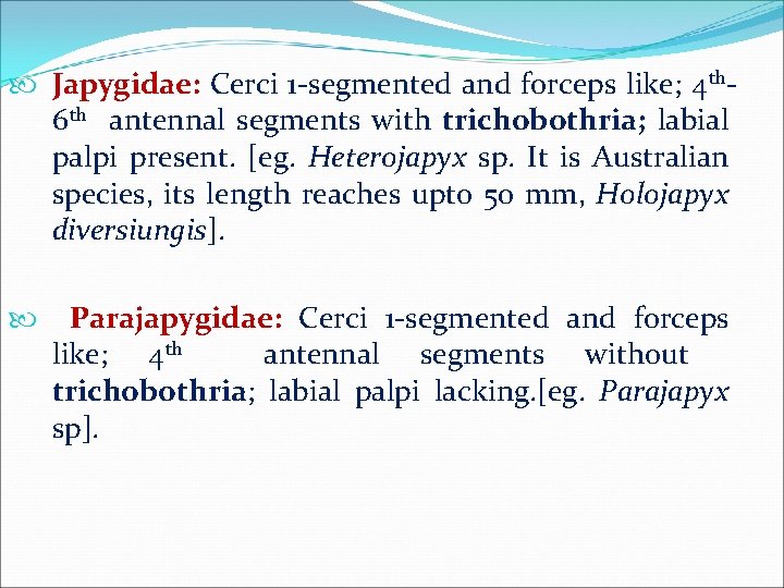  Japygidae: Cerci 1 -segmented and forceps like; 4 th 6 th antennal segments