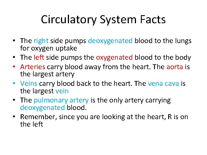 Circulatory System Facts • The right side pumps deoxygenated blood to the lungs for