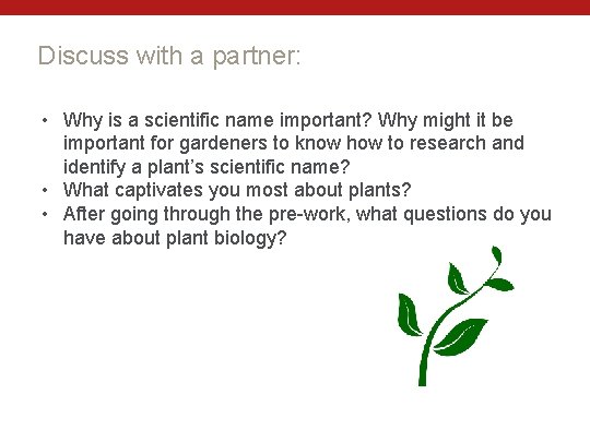 Discuss with a partner: • Why is a scientific name important? Why might it