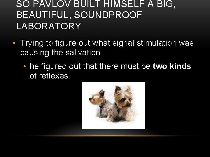 SO PAVLOV BUILT HIMSELF A BIG, BEAUTIFUL, SOUNDPROOF LABORATORY • Trying to figure out