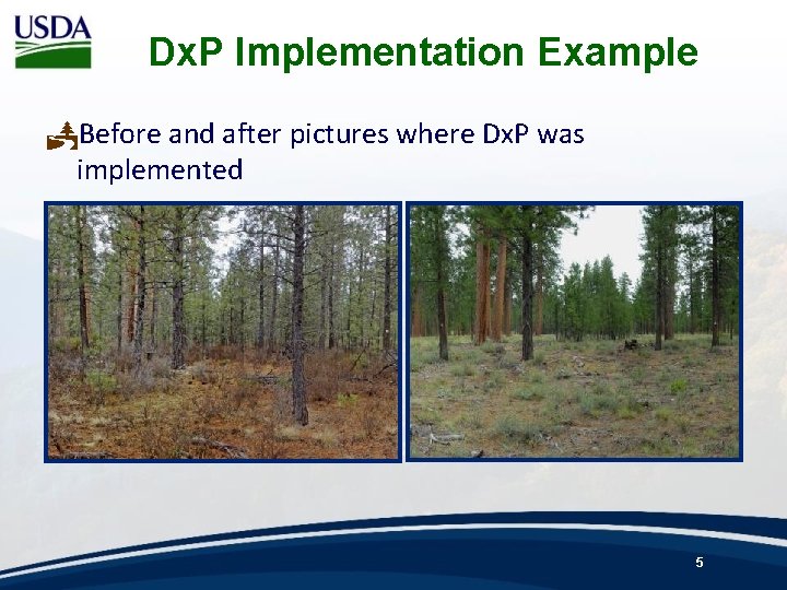 Dx. P Implementation Example PBefore and after pictures where Dx. P was implemented 5