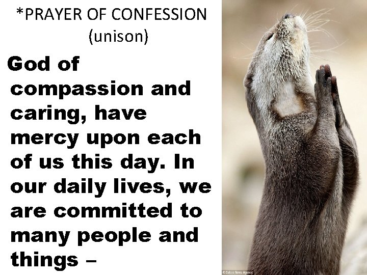 *PRAYER OF CONFESSION (unison) God of compassion and caring, have mercy upon each of