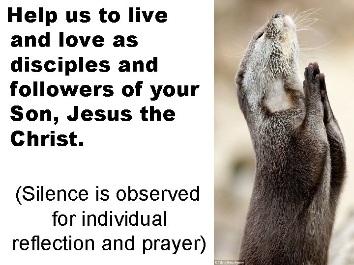 Help us to live and love as disciples and followers of your Son, Jesus