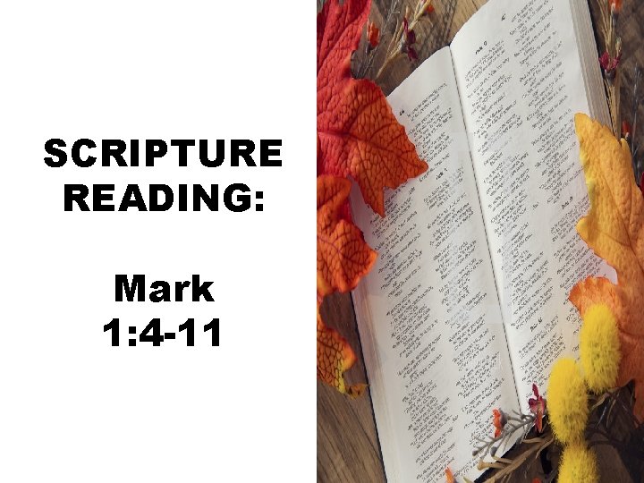 SCRIPTURE READING: Mark 1: 4 -11 