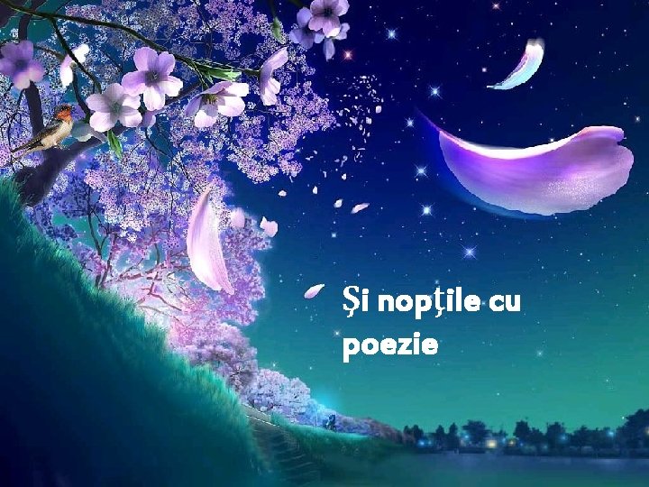 Şi nopţile cu poezie 