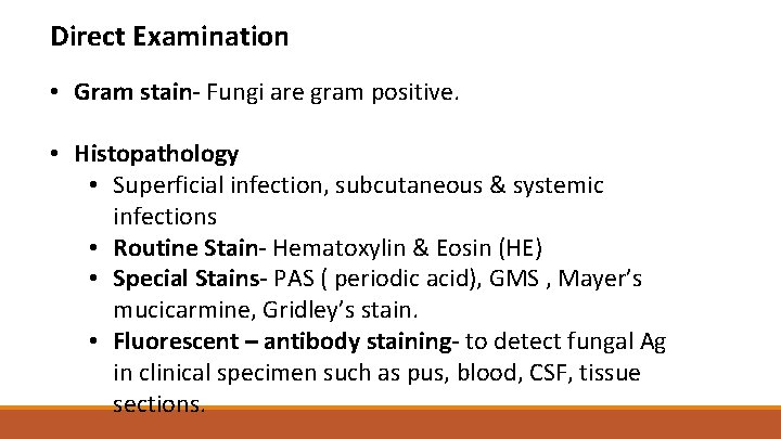 Direct Examination • Gram stain- Fungi are gram positive. • Histopathology • Superficial infection,