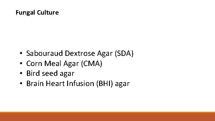 Fungal Culture • • Sabouraud Dextrose Agar (SDA) Corn Meal Agar (CMA) Bird seed