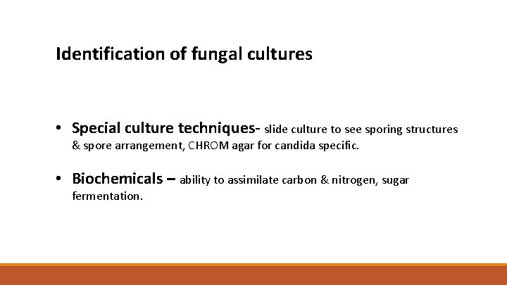 Identification of fungal cultures • Special culture techniques- slide culture to see sporing structures