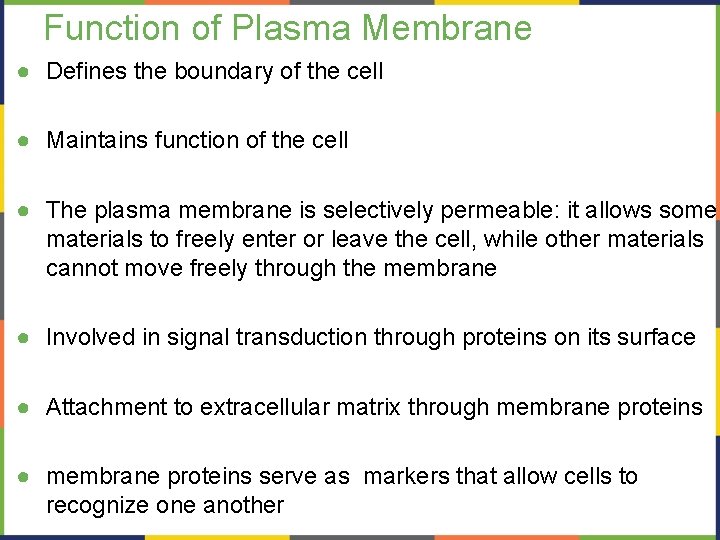 BIOLOGY Chapter 5 STRUCTURE AND FUNCTION OF PLASMA