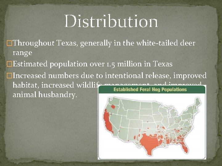 Distribution �Throughout Texas, generally in the white-tailed deer range �Estimated population over 1. 5