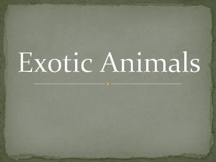 Exotic Animals 
