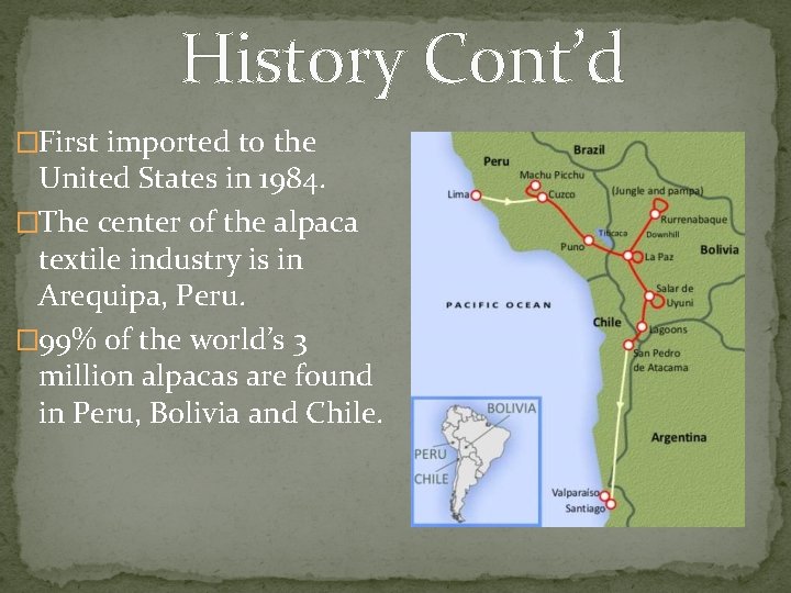 History Cont’d �First imported to the United States in 1984. �The center of the