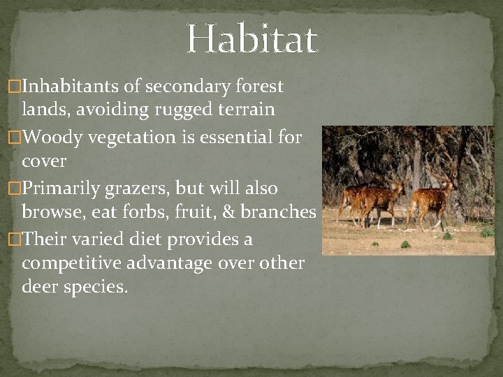Habitat �Inhabitants of secondary forest lands, avoiding rugged terrain �Woody vegetation is essential for