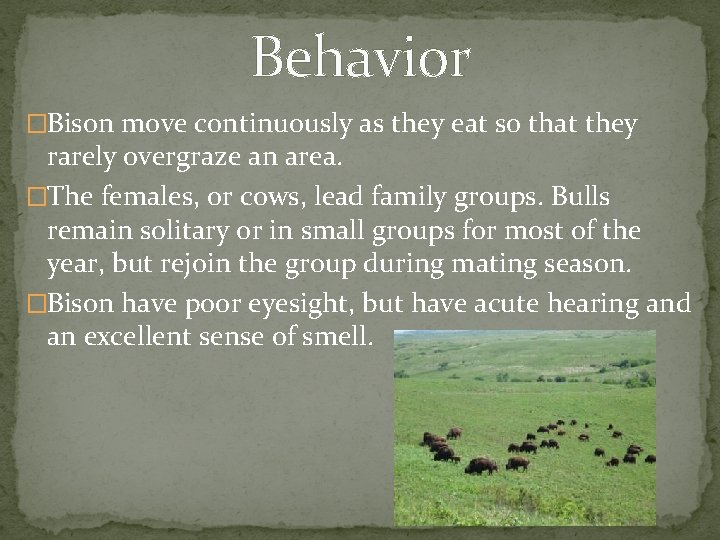 Behavior �Bison move continuously as they eat so that they rarely overgraze an area.