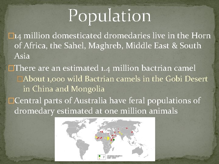 Population � 14 million domesticated dromedaries live in the Horn of Africa, the Sahel,