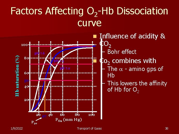 Factors Affecting O 2 -Hb Dissociation curve n 100 – Bohr effect Hb saturation