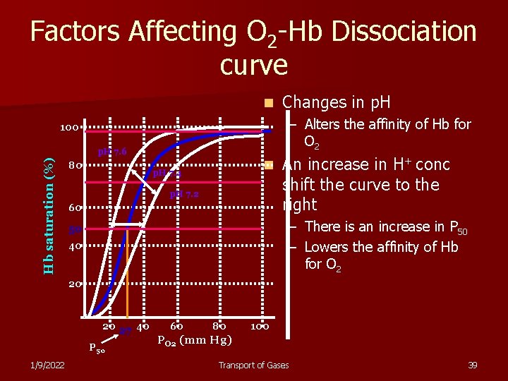 Factors Affecting O 2 -Hb Dissociation curve n – Alters the affinity of Hb