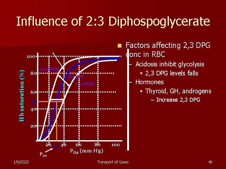 Influence of 2: 3 Diphospoglycerate n Hb saturation (%) 100 80 Factors affecting 2,