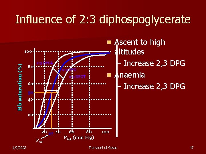 Influence of 2: 3 diphospoglycerate Ascent to high altitudes – Increase 2, 3 DPG