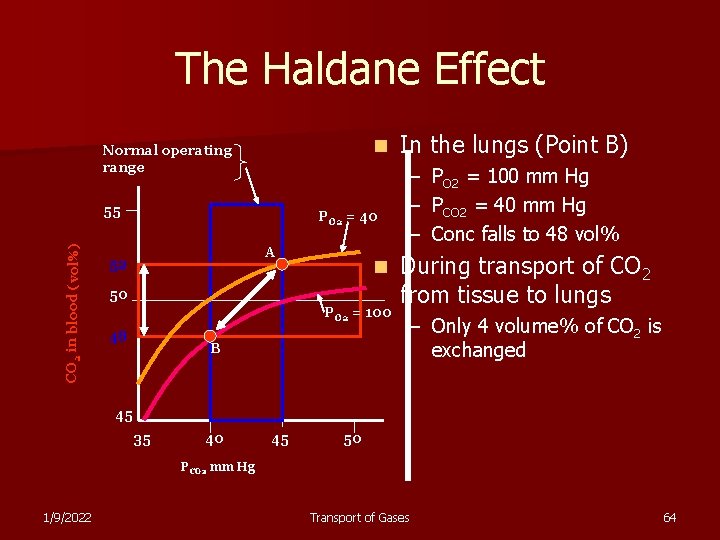 The Haldane Effect n Normal operating range CO 2 in blood (vol%) 55 PO