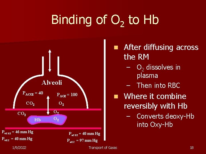 Binding of O 2 to Hb n – O 2 dissolves in plasma –