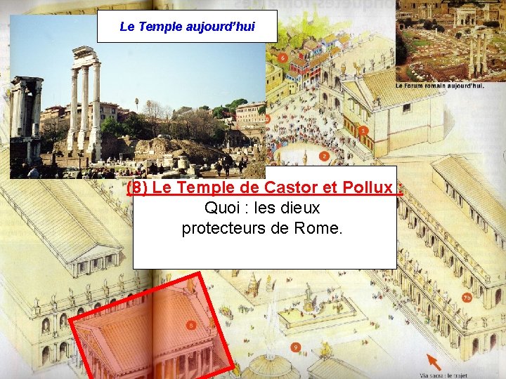 Le Temple aujourd’hui (8) Le Temple de Castor et Pollux : Quoi : les