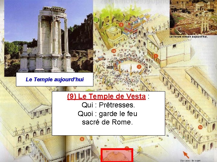 Le Temple aujourd’hui (9) Le Temple de Vesta : Qui : Prêtresses. Quoi :