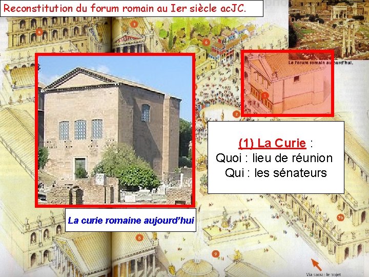 Reconstitution du forum romain au Ier siècle ac. JC. (1) La Curie : Quoi