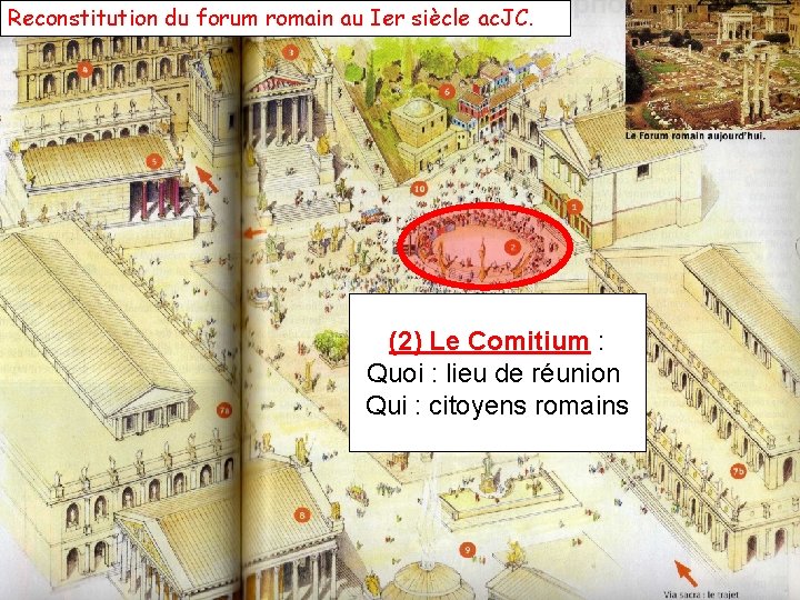 Reconstitution du forum romain au Ier siècle ac. JC. (2) Le Comitium : Quoi