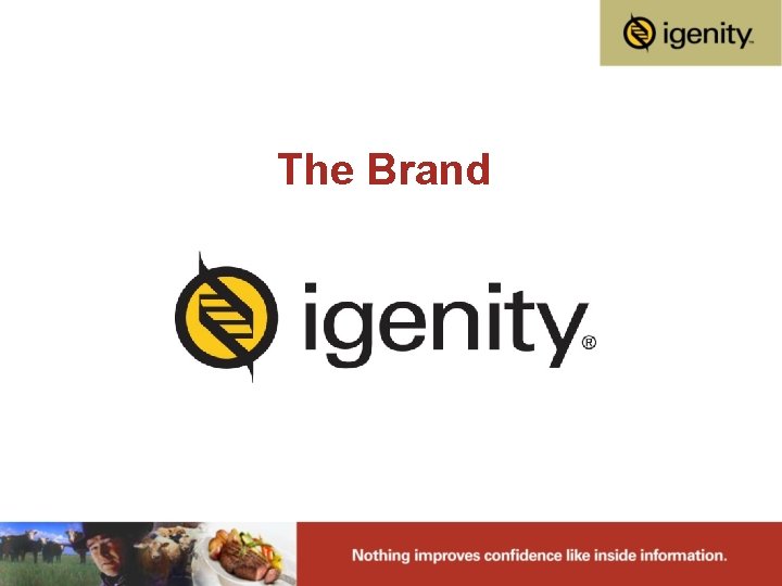 The Brand 