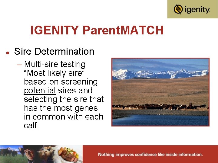 IGENITY Parent. MATCH l Sire Determination – Multi-sire testing “Most likely sire” based on