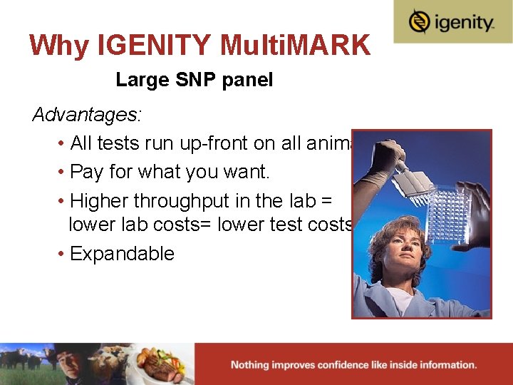Why IGENITY Multi. MARK Large SNP panel Advantages: • All tests run up-front on