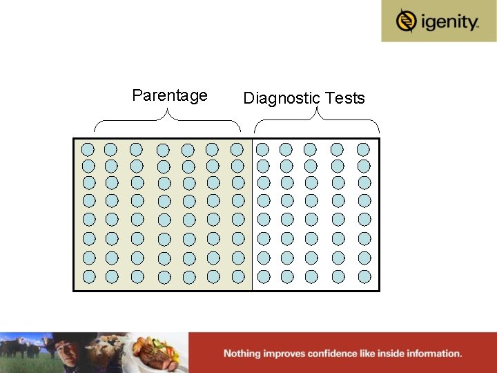 Parentage Diagnostic Tests 